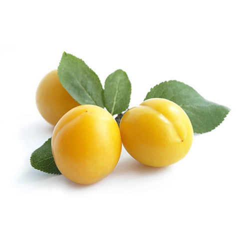 Prunes jaunes kg