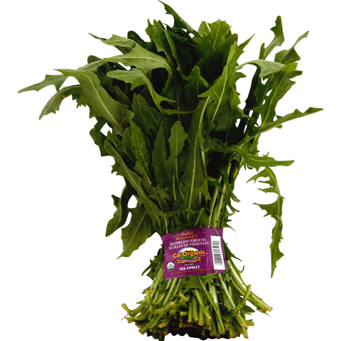 Pissenlit vert bio 1ch