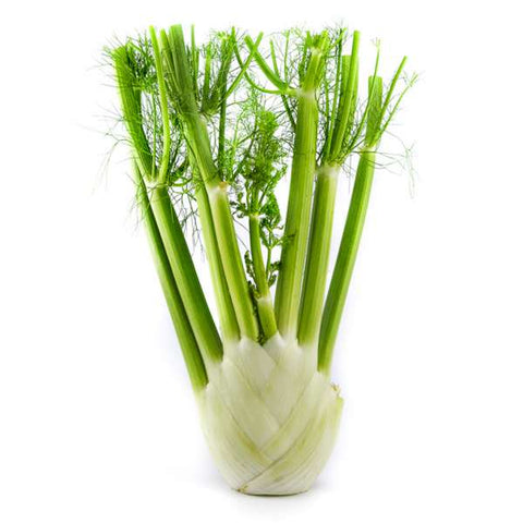 Fenouille (anis) 1un