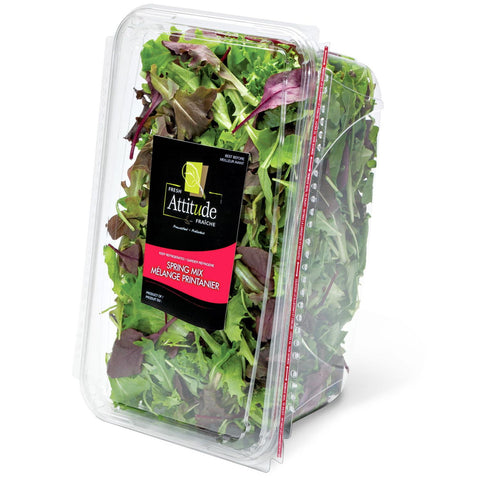 Fresh attitude mel printanier  454g