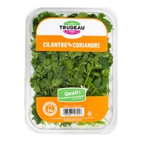Trudeau coriandre 1un