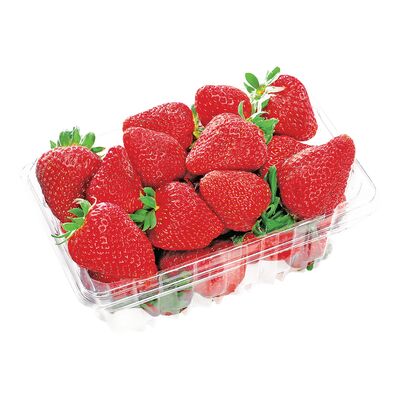 Fraises 12oz 340g