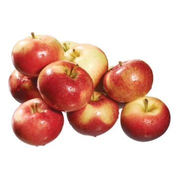 Pomme lobo 1vw