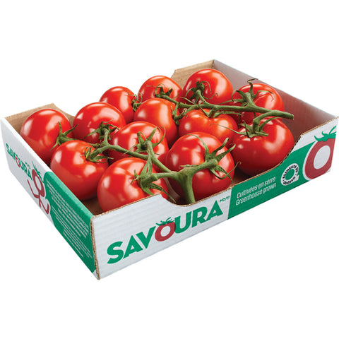 Tomates grappe bio