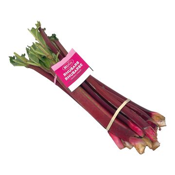 Rhubarbe 1un