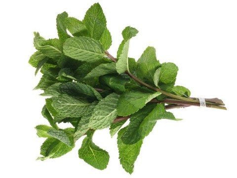 Menthe bio 1un