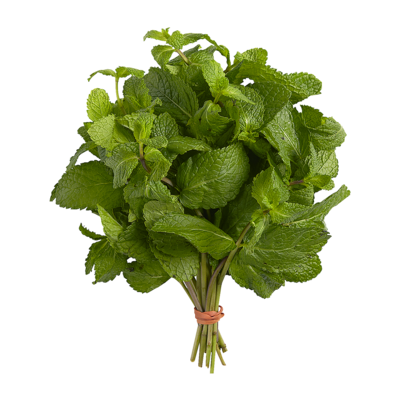 Menthe fraiche 1ch
