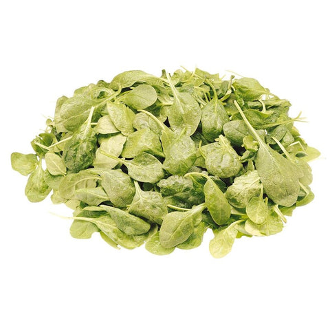 Queen bebes epinards 142g