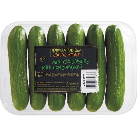 Fm mini concombres 6un