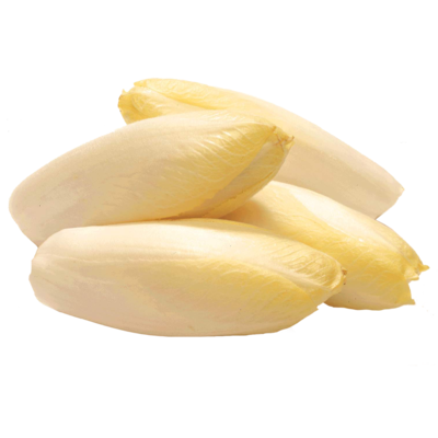 Endive 4un