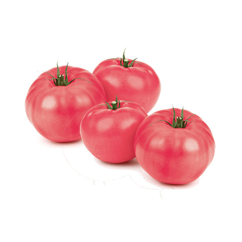 Tomates roses bio