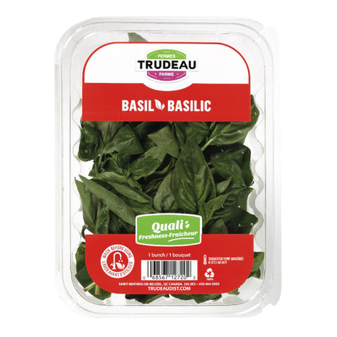 Trudeau basilic 1un