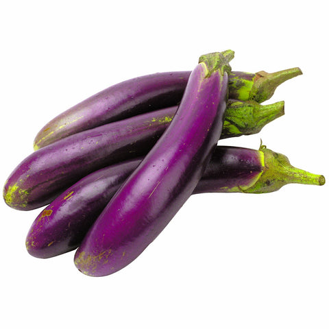 Aubergine longue 1vw
