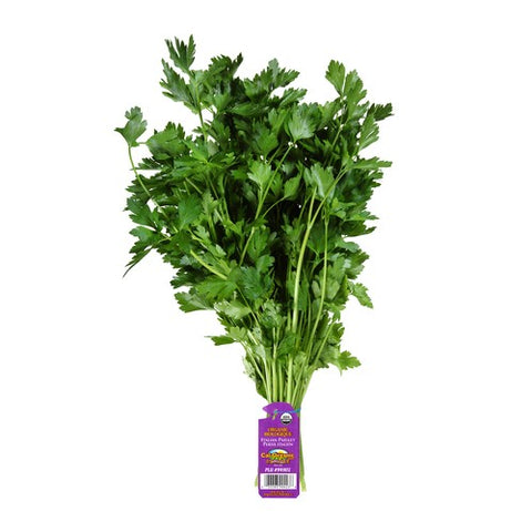 Persil italien bio 1ch