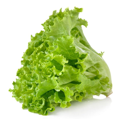 Laitue frisee vert 1un