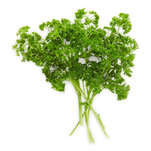 Tete de persil frise 1unit