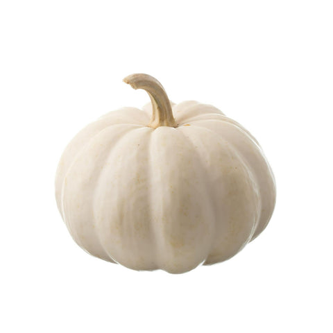 Citrouille blanche 1ea
