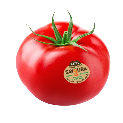 Tomates savoura kg