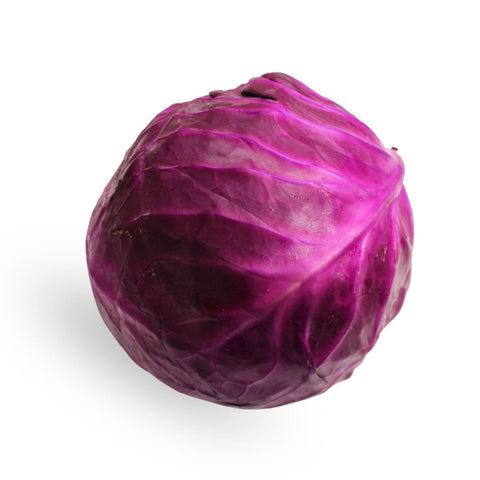Chou rouge biologique 18kg us 1kg