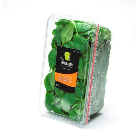 Fresh attitude jeunes epinards 454g