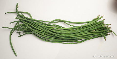 Haricots longue vert (bodie) 1vw