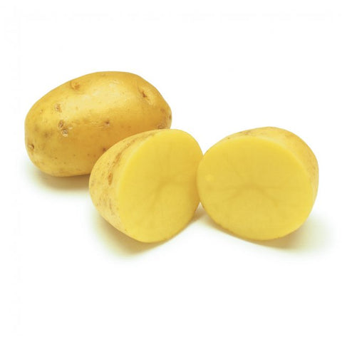 Pomme de terre à chair jaune