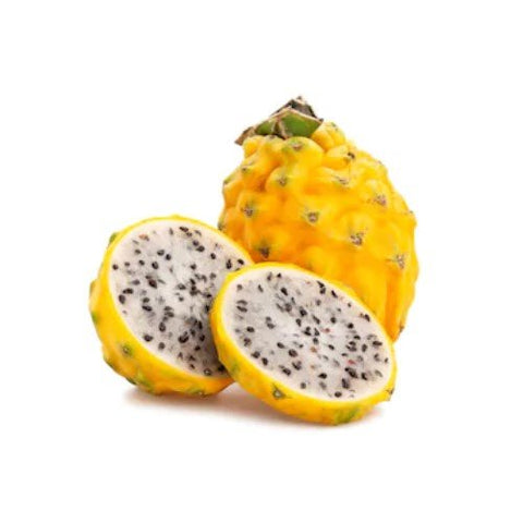 Pitahaya jaune 8/10 1ch