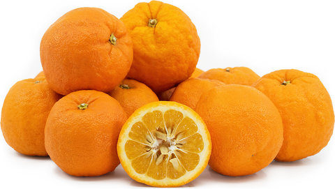 Orange seville marmalade 13.2k 1kg