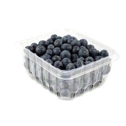 Bleuets bio 170g