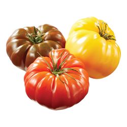 Tomates ancestrales kg
