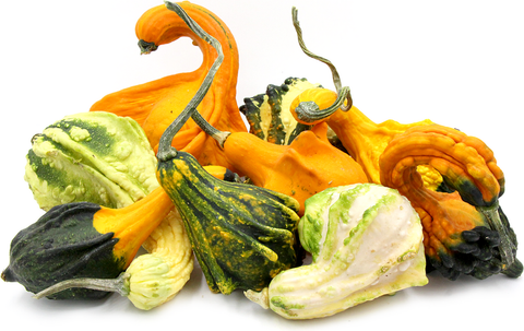 Courge decorative 6un