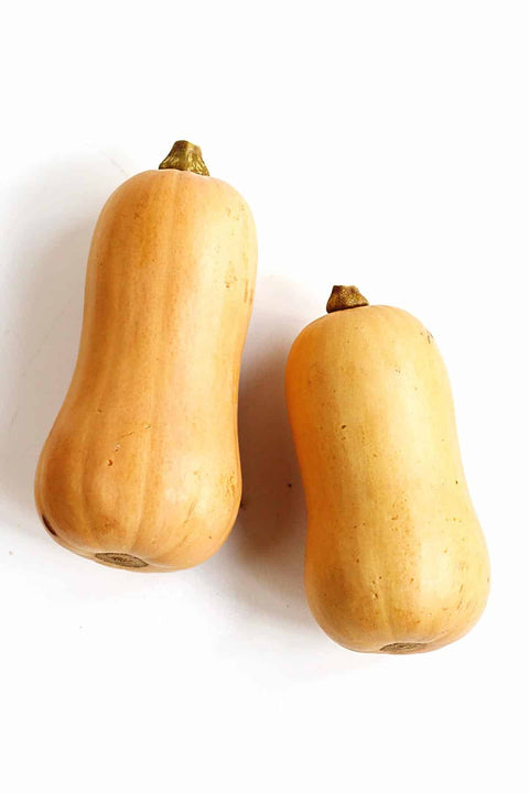 Courge biologique butternut 1vw