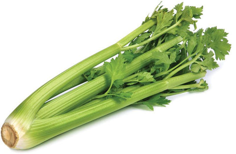 Celeri 1ch