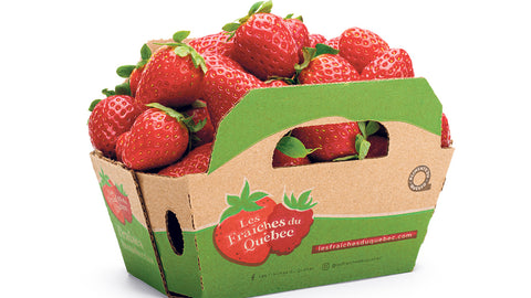 Fraises panier 1un
