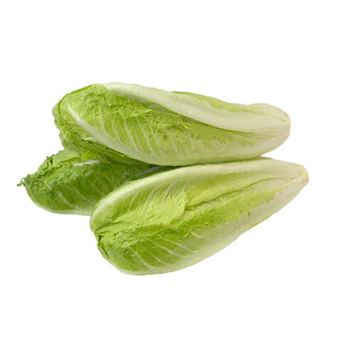 Coeur Romaine 3pk 1ch