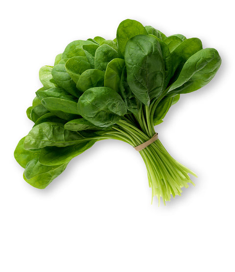Épinard frais 1ch