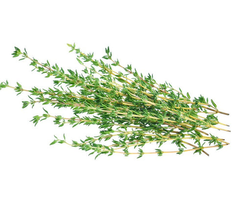 Thyme  unite