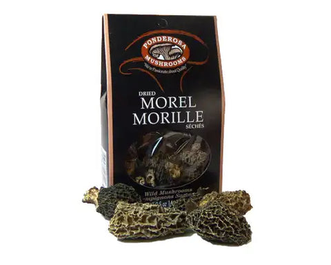 Morille champignons séchés 14g