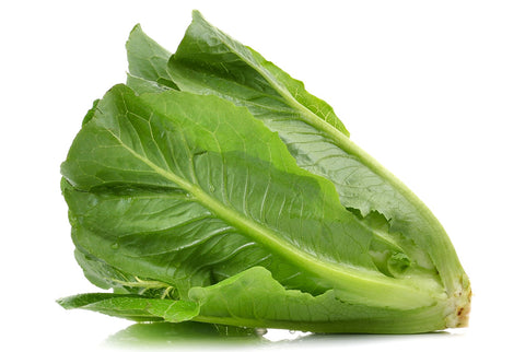 Laitue romaine bio 1un