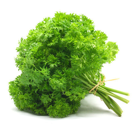 Persil frisée bio us 1ch