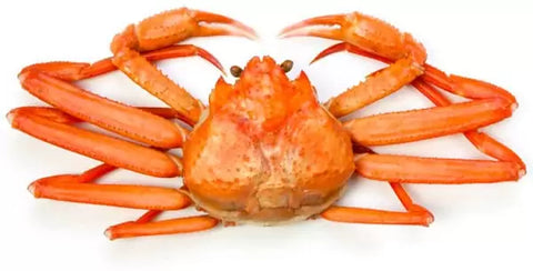 Crabe des neiges