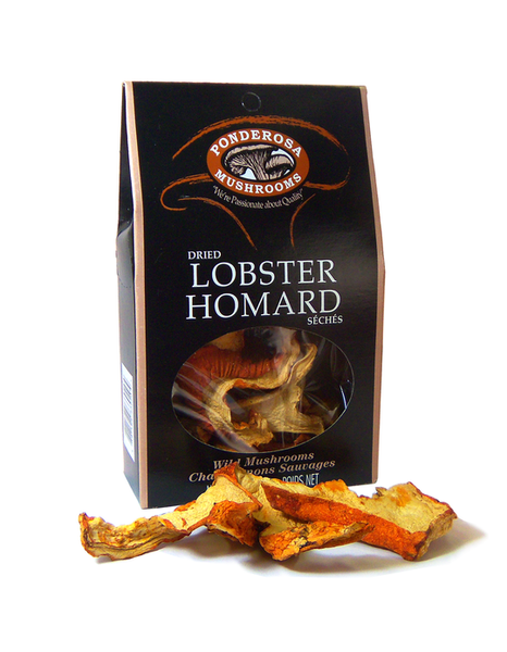 Champignon homard seches 14g