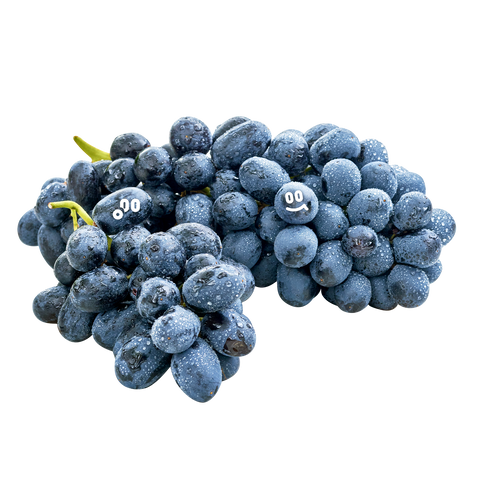 Pc raisins noir 18lb 1kg