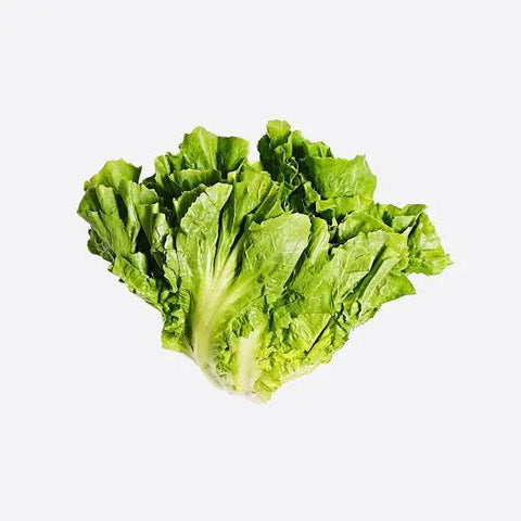 Lettuce escarole 1ea