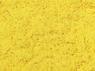 Soupe Poulet  Base kg