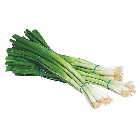 Oignon vert bio 1un