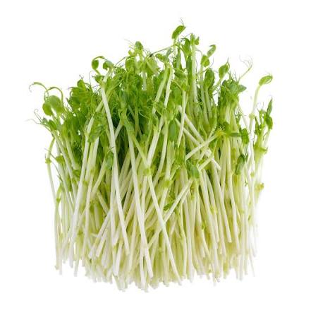 Pousse pois mange tout 75g