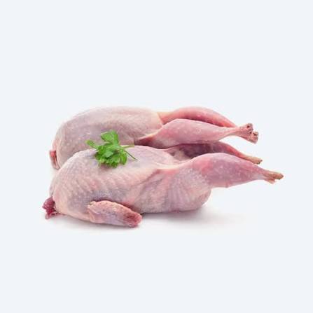 Caille Gourmet Kg