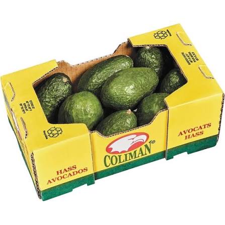 Avocat boîte rpc mx 1ea