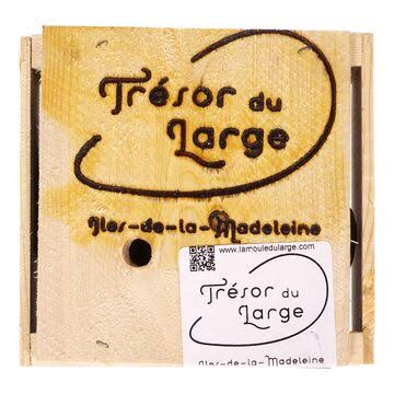 Huitres Tresor 18UN